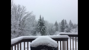 snow13