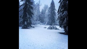 snow14
