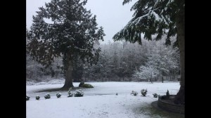 snow7