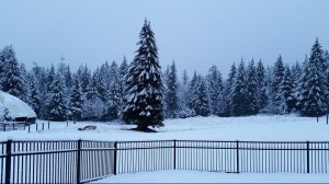 snow9